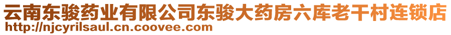 云南東駿藥業(yè)有限公司東駿大藥房六庫老干村連鎖店