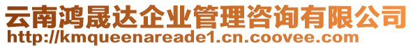 云南鴻晟達企業(yè)管理咨詢有限公司