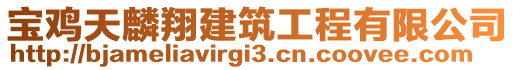 寶雞天麟翔建筑工程有限公司