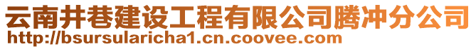 云南井巷建設(shè)工程有限公司騰沖分公司