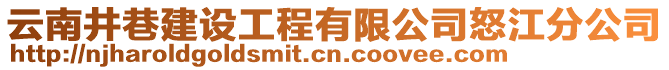 云南井巷建設(shè)工程有限公司怒江分公司