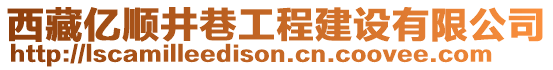 西藏億順井巷工程建設(shè)有限公司