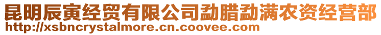 昆明辰寅經(jīng)貿(mào)有限公司勐臘勐滿農(nóng)資經(jīng)營部