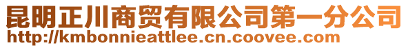 昆明正川商貿(mào)有限公司第一分公司