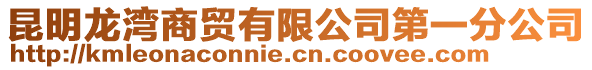 昆明龍灣商貿(mào)有限公司第一分公司