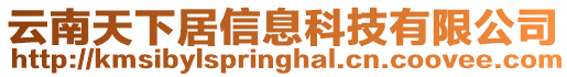 云南天下居信息科技有限公司