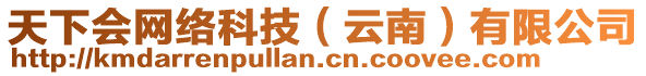 天下會網(wǎng)絡(luò)科技（云南）有限公司