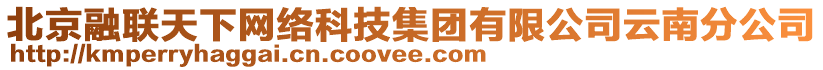 北京融聯(lián)天下網(wǎng)絡(luò)科技集團(tuán)有限公司云南分公司