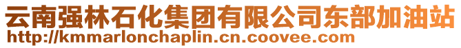 云南強林石化集團有限公司東部加油站