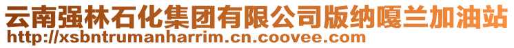 云南強林石化集團有限公司版納嘎蘭加油站