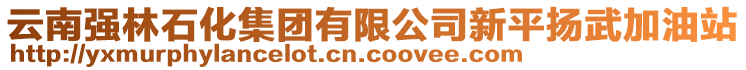 云南強(qiáng)林石化集團(tuán)有限公司新平揚(yáng)武加油站