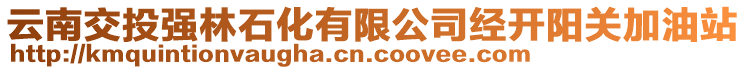 云南交投強(qiáng)林石化有限公司經(jīng)開陽關(guān)加油站