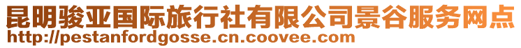 昆明駿亞國(guó)際旅行社有限公司景谷服務(wù)網(wǎng)點(diǎn)