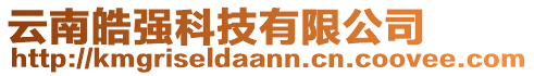 云南皓強(qiáng)科技有限公司