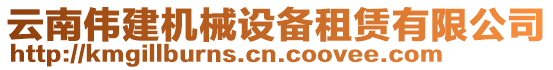 云南偉建機(jī)械設(shè)備租賃有限公司