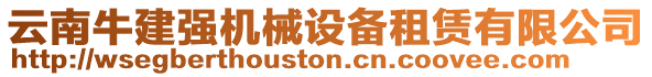 云南牛建強(qiáng)機(jī)械設(shè)備租賃有限公司