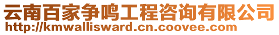 云南百家爭鳴工程咨詢有限公司