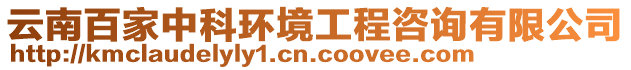 云南百家中科環(huán)境工程咨詢(xún)有限公司