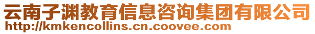 云南子淵教育信息咨詢集團(tuán)有限公司