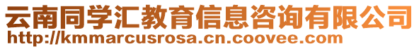 云南同學(xué)匯教育信息咨詢有限公司