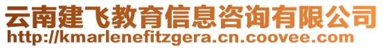 云南建飛教育信息咨詢有限公司