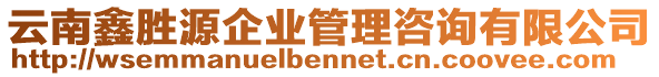 云南鑫勝源企業(yè)管理咨詢有限公司