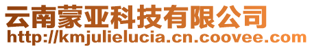 云南蒙亞科技有限公司