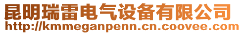 昆明瑞雷電氣設備有限公司