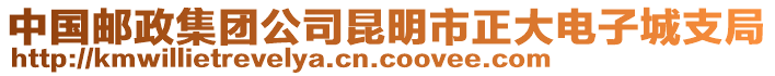 中國郵政集團公司昆明市正大電子城支局