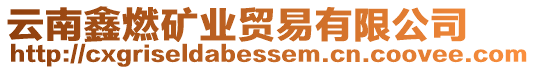 云南鑫燃礦業(yè)貿(mào)易有限公司