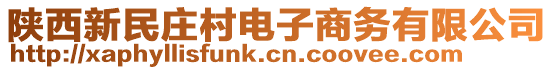 陜西新民莊村電子商務有限公司