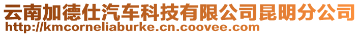 云南加德仕汽車科技有限公司昆明分公司