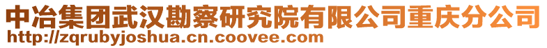 中冶集團(tuán)武漢勘察研究院有限公司重慶分公司