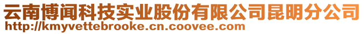 云南博闻科技实业股份有限公司昆明分公司