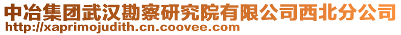 中冶集团武汉勘察研究院有限公司西北分公司