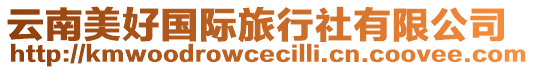 云南美好國際旅行社有限公司