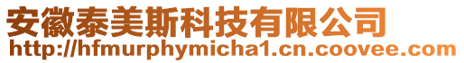 安徽泰美斯科技有限公司