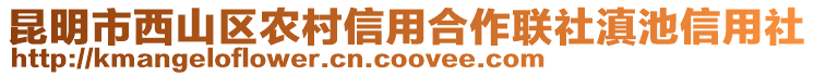 昆明市西山區(qū)農(nóng)村信用合作聯(lián)社滇池信用社