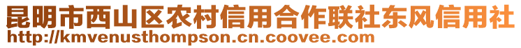 昆明市西山區農村信用合作聯社東風信用社
