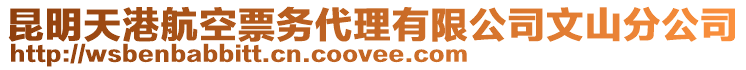 昆明天港航空票務(wù)代理有限公司文山分公司