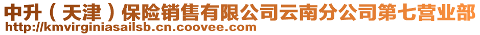 中升(天津)保險銷售有限公司云南分公司第七營業部
