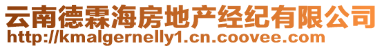 云南德霖海房地產(chǎn)經(jīng)紀(jì)有限公司