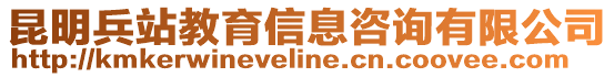 昆明兵站教育信息咨詢有限公司