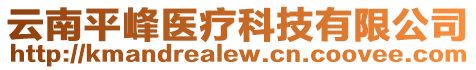 云南平峰醫(yī)療科技有限公司