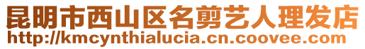 昆明市西山區(qū)名剪藝人理發(fā)店