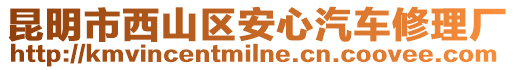 昆明市西山區(qū)安心汽車修理廠