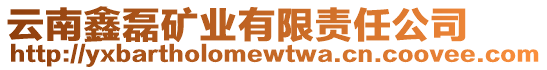 云南鑫磊礦業(yè)有限責(zé)任公司