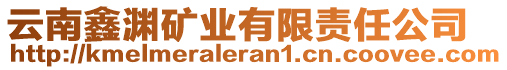 云南鑫渊矿业有限责任公司