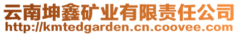 云南坤鑫礦業(yè)有限責(zé)任公司