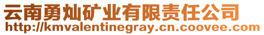 云南勇燦礦業(yè)有限責任公司